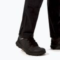 Men's trekking trousers Berghaus Skelbo black 6