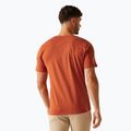 Men's T-shirt Regatta ClineIX baked clay jeep 3