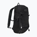 Hiking backpack REGATTA Blackfell IV 20 l black 2
