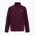 Kids' fleece REGATTA King II fig