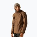 Men's softshell jacket REGATTA Matt II nut brown