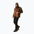 Men's softshell jacket REGATTA Matt II nut brown 2