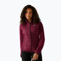 Women's hybrid jacket REGATTA Andreson Hybrid dark pimento