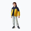 Children's insulated jacket REGATTA Lofthouse navy/goldfik 5