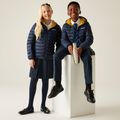 Children's jacket REGATTA Hooded Marizion navy/gold flake 11