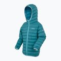 Children's jacket REGATTA Hooded Marizion storm blue/nordic blue 3