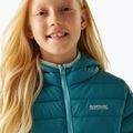 Children's jacket REGATTA Hooded Marizion storm blue/nordic blue 7