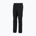 Men's trekking trousers REGATTA Highton Winter black 6