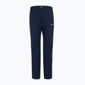 Men's trekking trousers REGATTA Highton Winter navy 5
