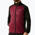 Men's 3in1 jacket REGATTA Sacramento dark maroon/black 9