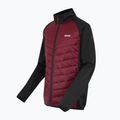 Men's 3in1 jacket REGATTA Sacramento dark maroon/black 15