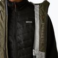 Men's 3in1 jacket REGATTA Sacramento olive night/black 8