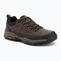 Men's trekking boots REGATTA Blake Low peat/wood