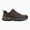 Men's trekking boots REGATTA Blake Low peat/wood 2