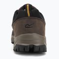 Men's trekking boots REGATTA Blake Low peat/wood 6