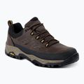 Men's trekking boots REGATTA Blake Low peat/wood 8