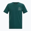 Men's T-shirt Regatta ClineIX mediterranea 5