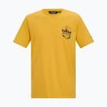Men's T-shirt Regatta ClineIX ceylon yellow 5