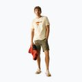 Men's T-shirt Regatta ClineIX white stone wilderness 2