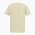 Men's T-shirt Regatta ClineIX white stone wilderness 6