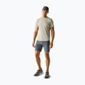 Men's trekking T-shirt REGATTA Mindoi Anti Insect abbeystone 2