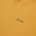 Men's trekking T-shirt REGATTA Mindoi Anti Insect wood brown 3