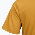 Men's trekking T-shirt REGATTA Mindoi Anti Insect wood brown 4