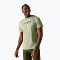 Men's trekking T-shirt REGATTA Fingal light sage