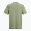 Men's trekking T-shirt REGATTA Fingal light sage 6