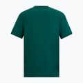 Men's trekking T-shirt REGATTA Fingal mediterranea 6