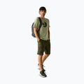 Men's trekking T-shirt REGATTA Fingal Stretch light sage 2
