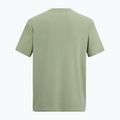 Men's trekking T-shirt REGATTA Fingal Stretch light sage 6