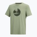 Men's trekking T-shirt REGATTA Fingal Stretch light sage 7