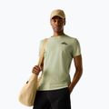 Men's trekking T-shirt REGATTA Breezed light sage