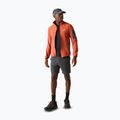 Men's trekking shorts REGATTA Anti Insect Travel Light ash 2