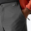 Men's trekking shorts REGATTA Anti Insect Travel Light ash 4