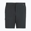 Men's trekking shorts REGATTA Anti Insect Travel Light ash 5