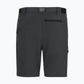 Men's trekking shorts REGATTA Anti Insect Travel Light ash 6