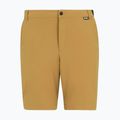 Men's trekking shorts REGATTA Anti Insect Travel Light wood brown 5