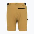 Men's trekking shorts REGATTA Anti Insect Travel Light wood brown 6
