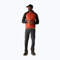 Men's trekking trousers REGATTA Anti Insect Travel Light ash 2