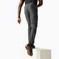 Men's trekking trousers REGATTA Anti Insect Travel Light ash 4