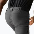 Men's trekking trousers REGATTA Anti Insect Travel Light ash 7