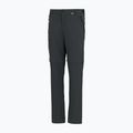 Men's trekking trousers REGATTA Anti Insect Travel Light ash 10