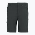 Men's trekking trousers REGATTA Anti Insect Travel Light ash 11