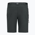 Men's trekking trousers REGATTA Anti Insect Travel Light ash 12