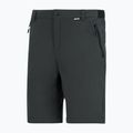 Men's trekking trousers REGATTA Anti Insect Travel Light ash 13