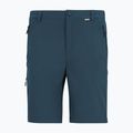 Men's trekking trousers REGATTA Anti Insect Travel Light night sky 4
