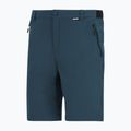 Men's trekking trousers REGATTA Anti Insect Travel Light night sky 6