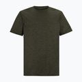 Men's trekking T-shirt REGATTA Fingal Edition dark khaki 5